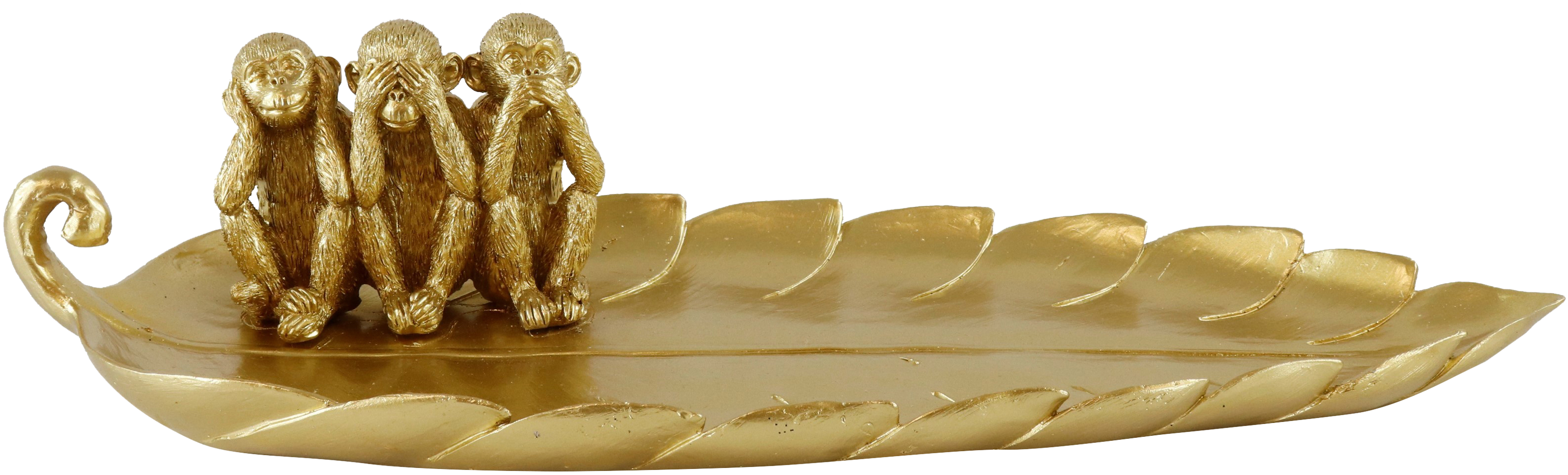 1587 CIOTOLA FOGLIA  MONKEY