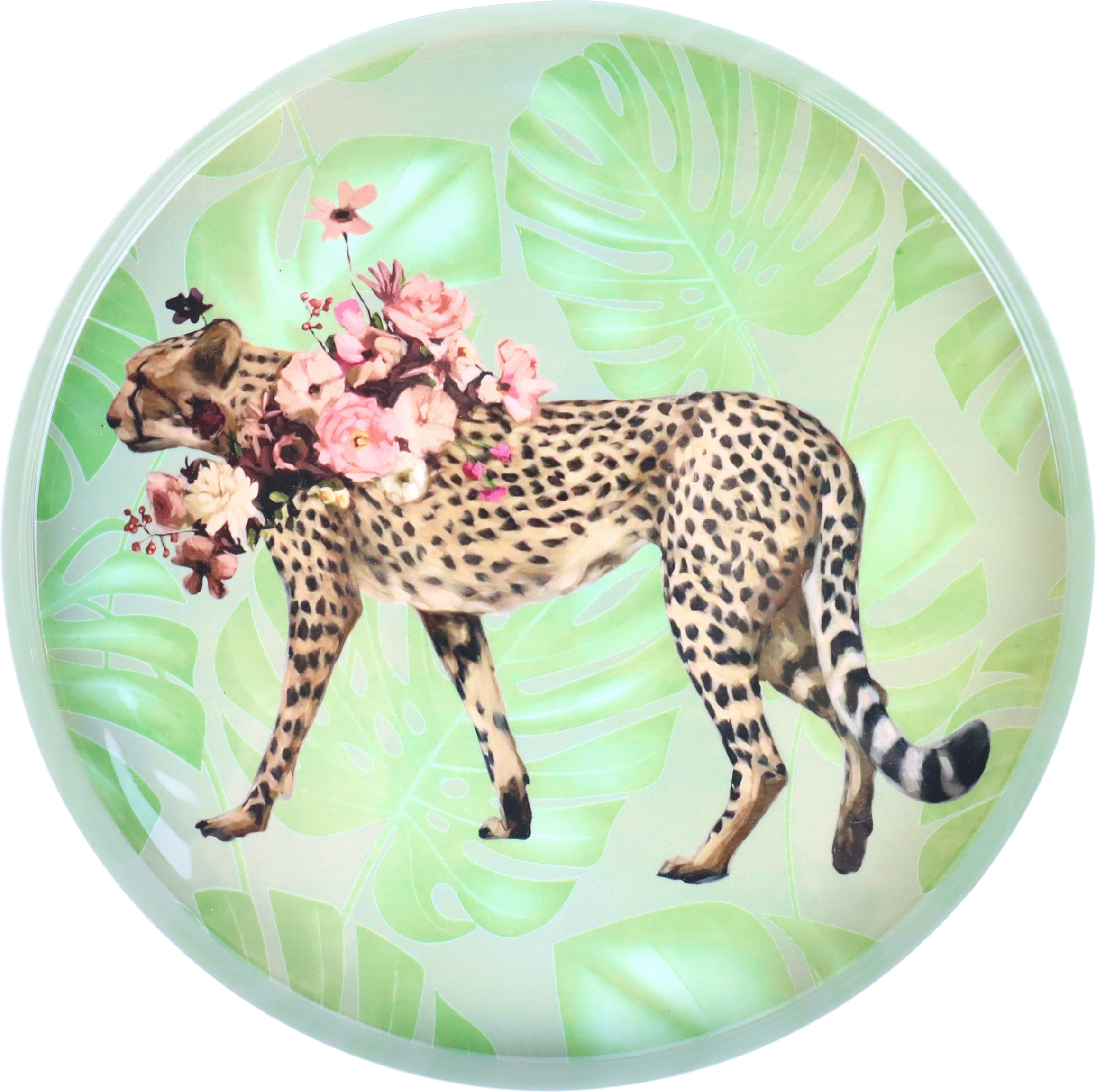 1655 TABLETT LOVELY LEO