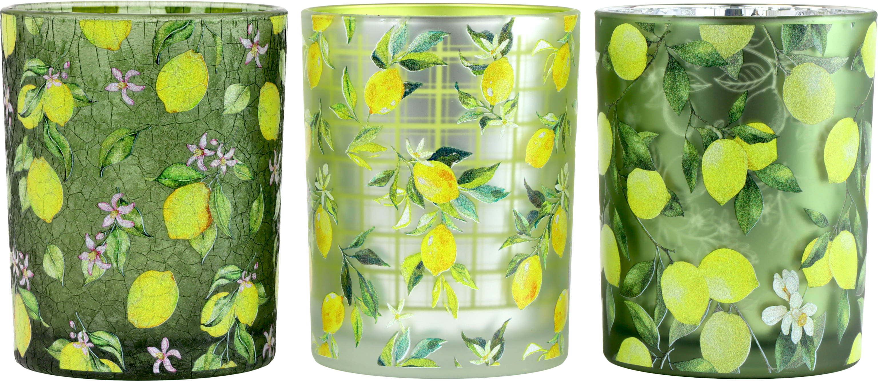 1736 WINDLICHTER LEMON PARTY  S/3