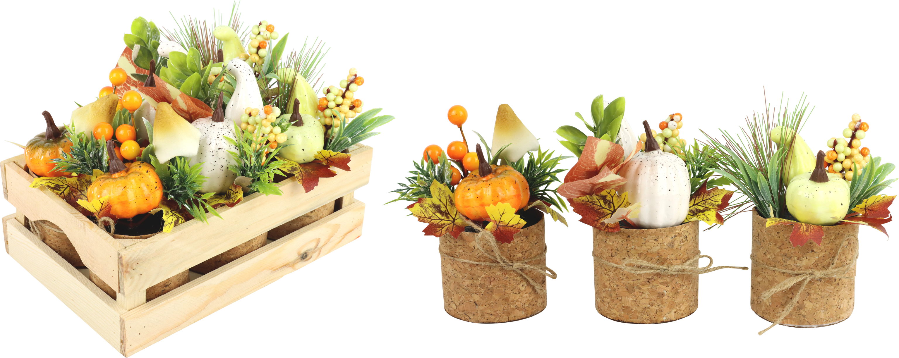 1861 BOUQUET IN CASSA PUMPKINS  6PZ