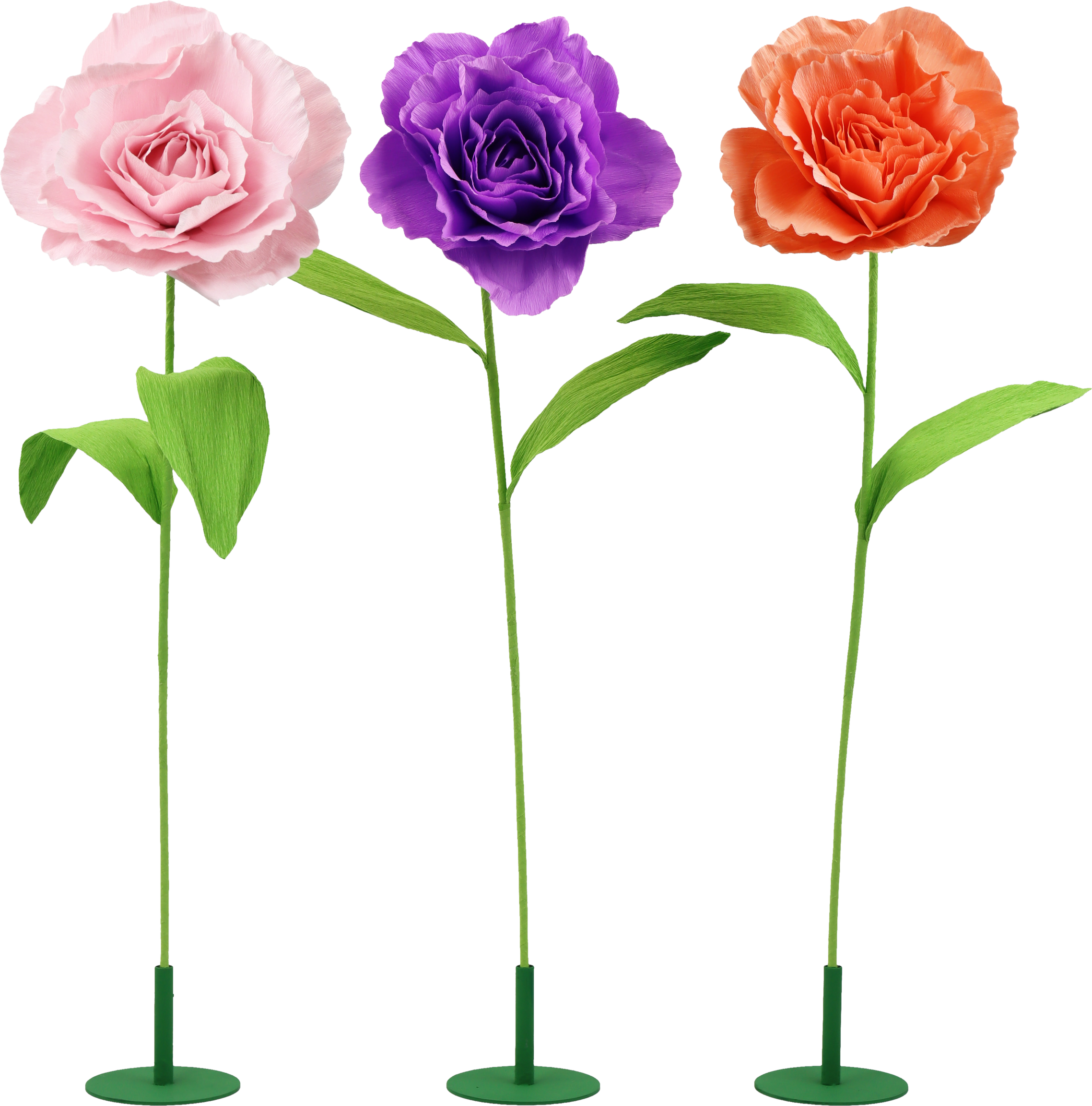 2019 BLUMENTRIO ROSY  S/3