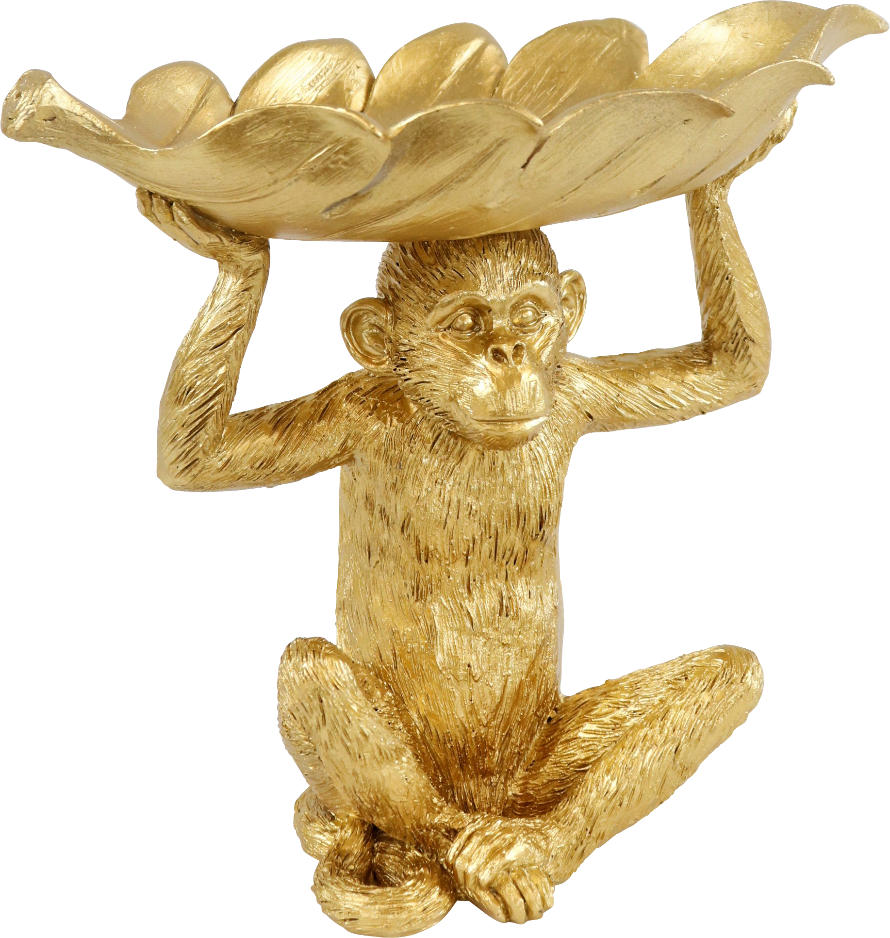 2088 CIOTOLA  MONKEY