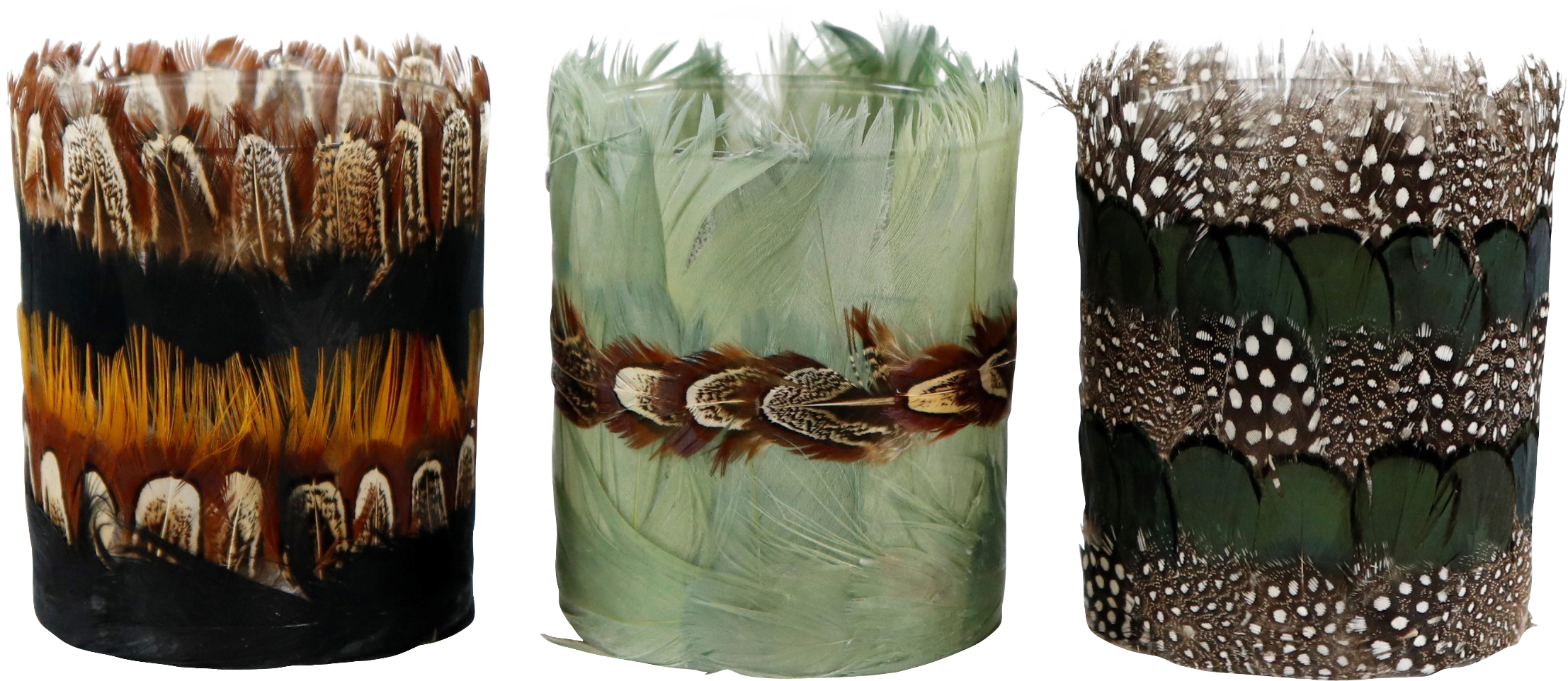 2369 WINDLICHTER FEATHERS  S/3