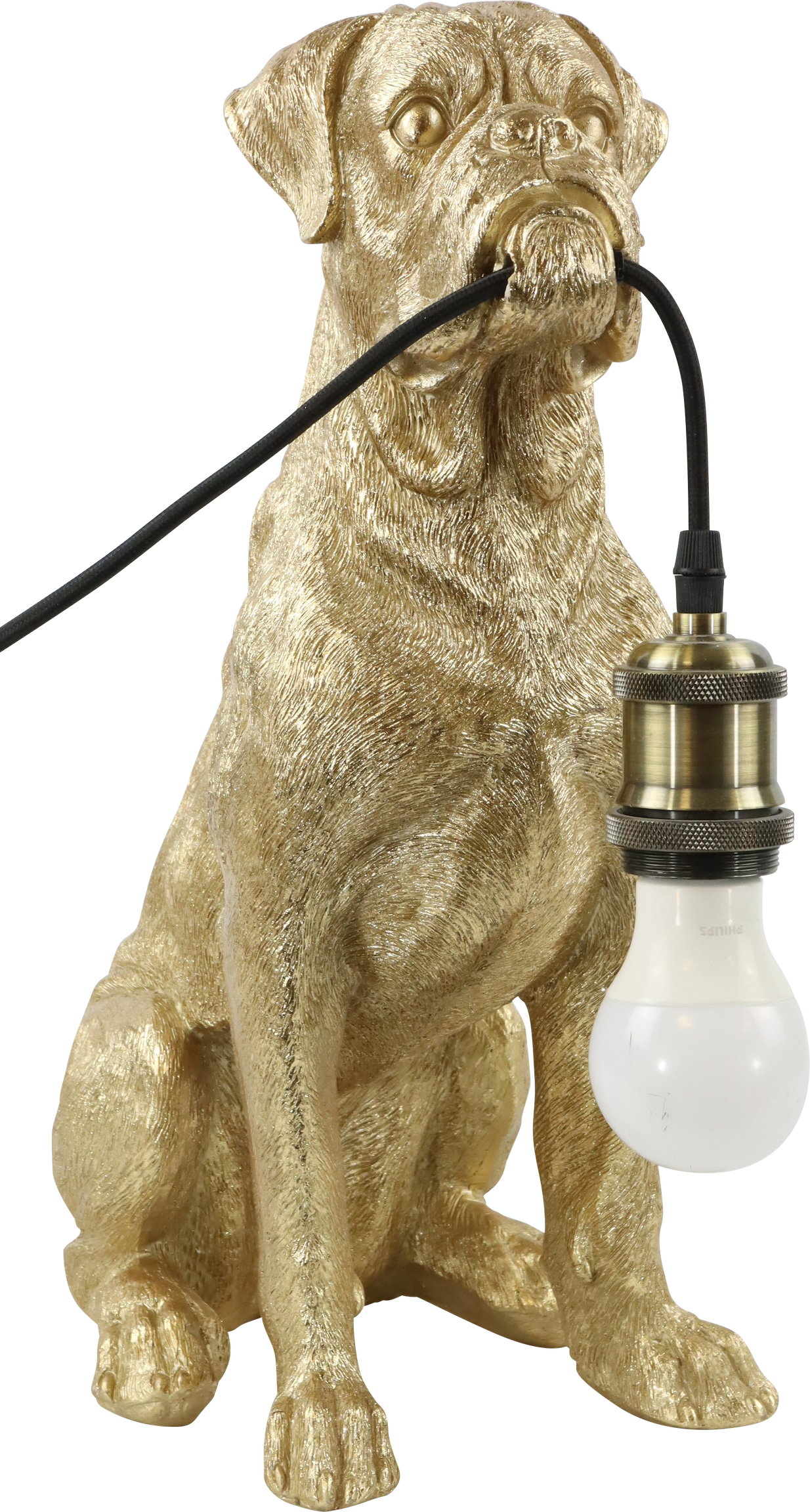 2475 LAMPADA DOGGY