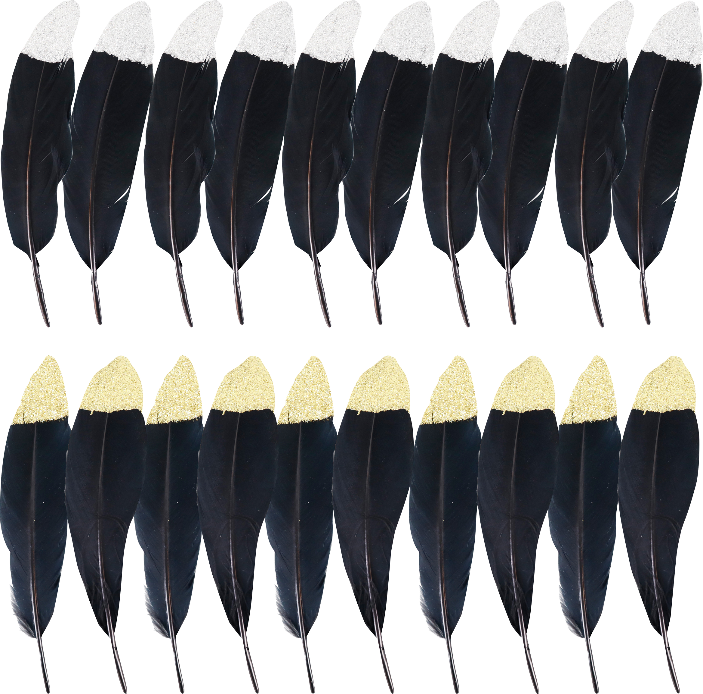 3313 ZIERFEDERN NOIR  S/20