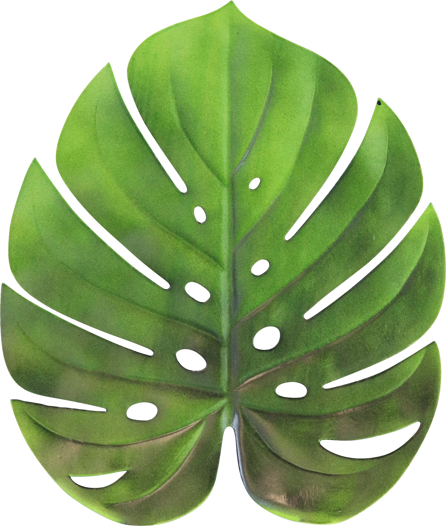 3645 TISCHSET MONSTERA