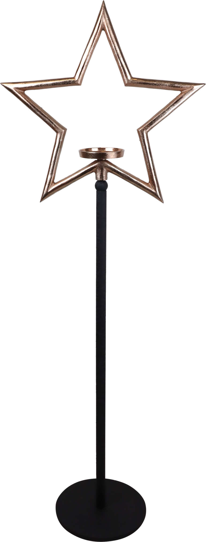 3663 CANDLESTICK STAR