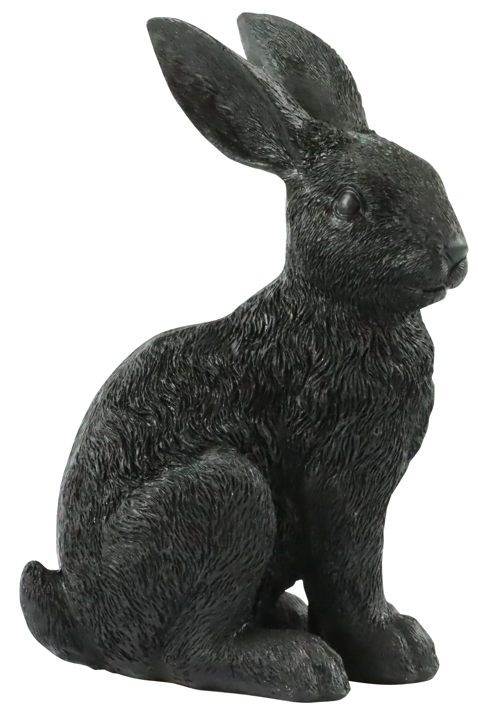 3668 HASE BUSY BUNNY