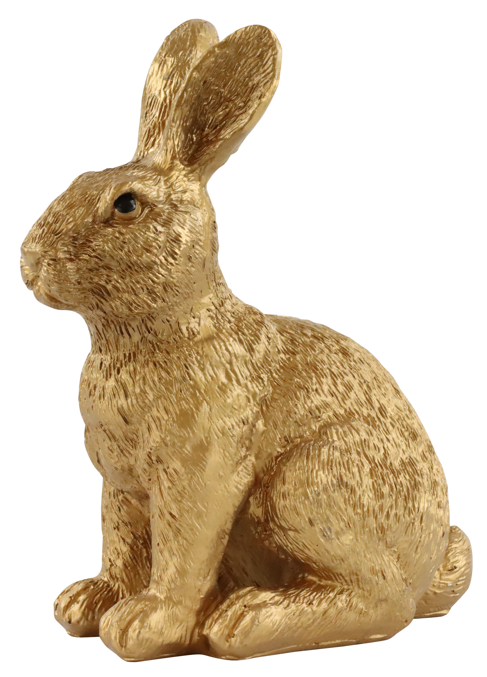 3678 HASE BUSY BUNNY