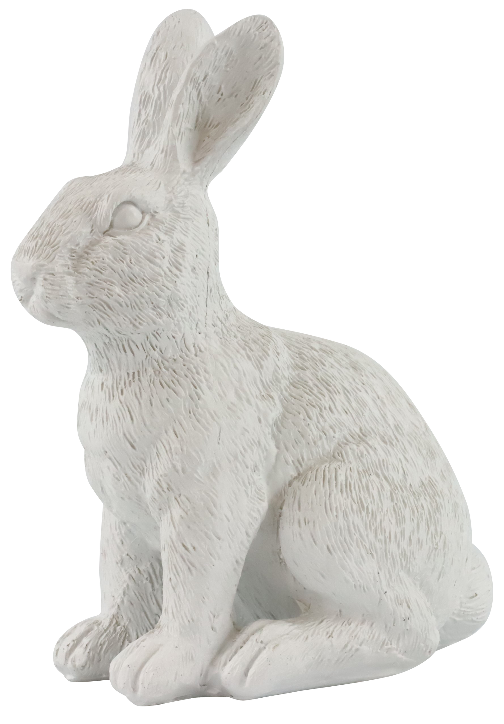 3679 HASE BUSY BUNNY