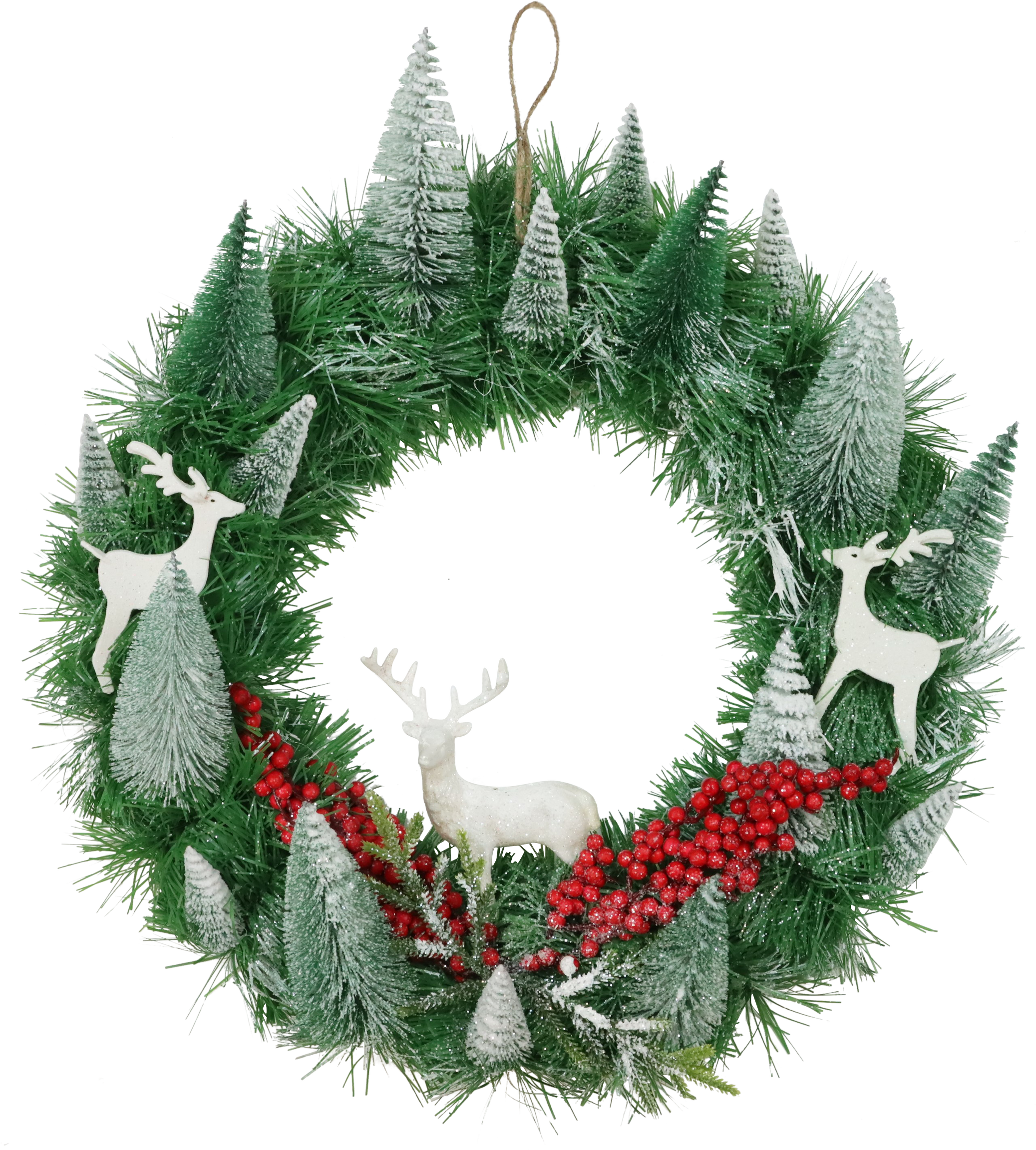 4243 CORONA  HIRSCHE