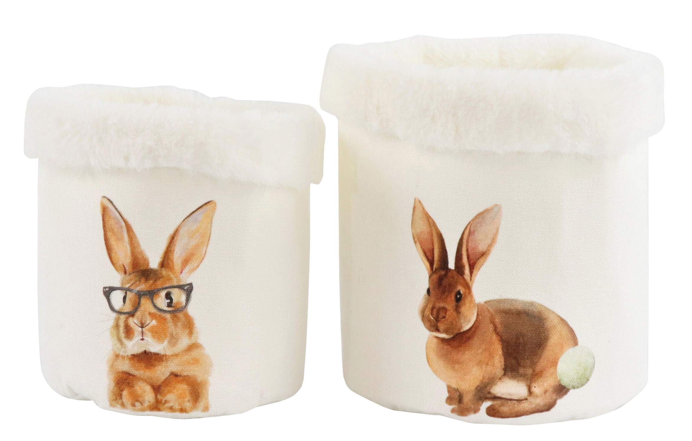 4440 CESTINI  HAPPY HASE  2PZ