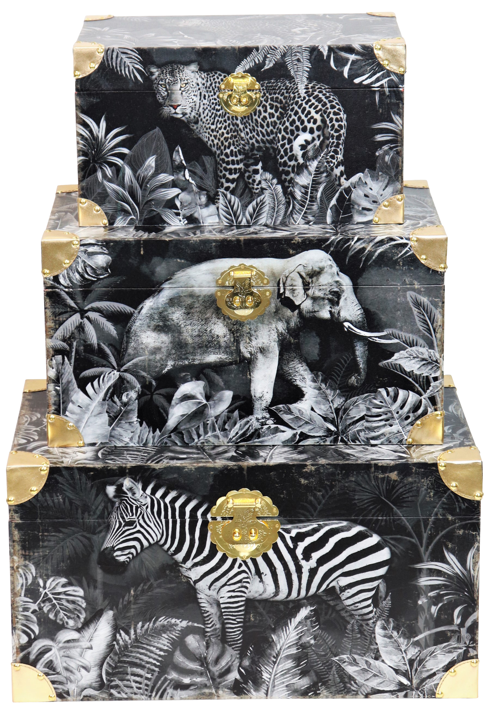 4795 TRUNKS SAFARI  S/3