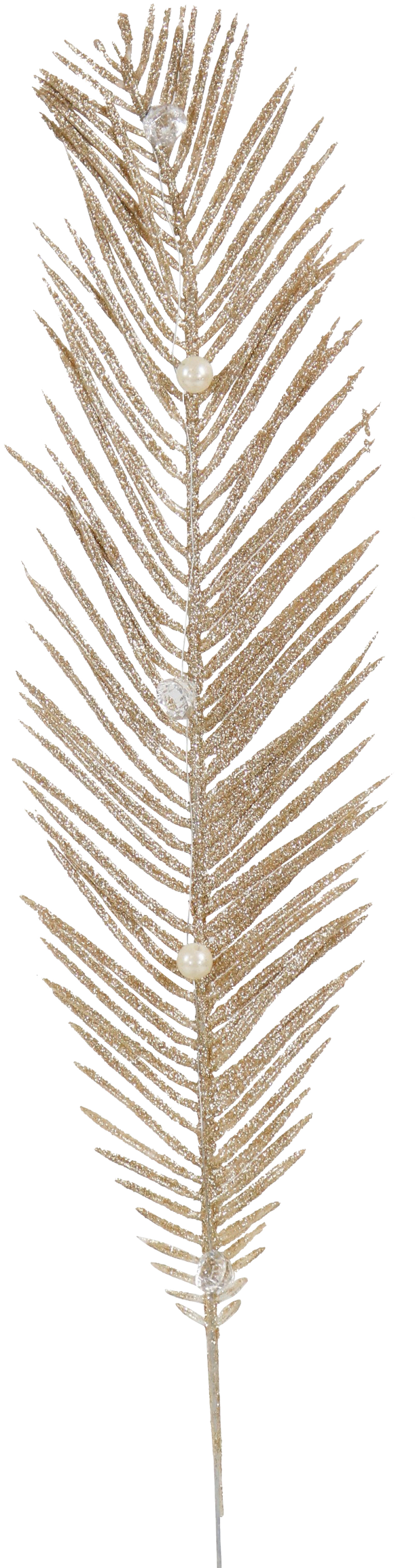 5500 DEKOZWEIG GLAMOUR