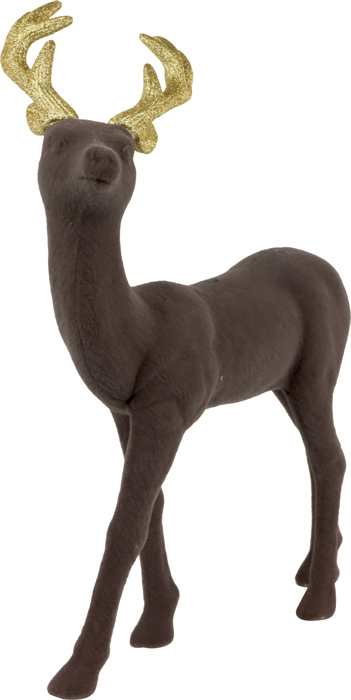 5731 PLATZHIRSCH WALDEMAR