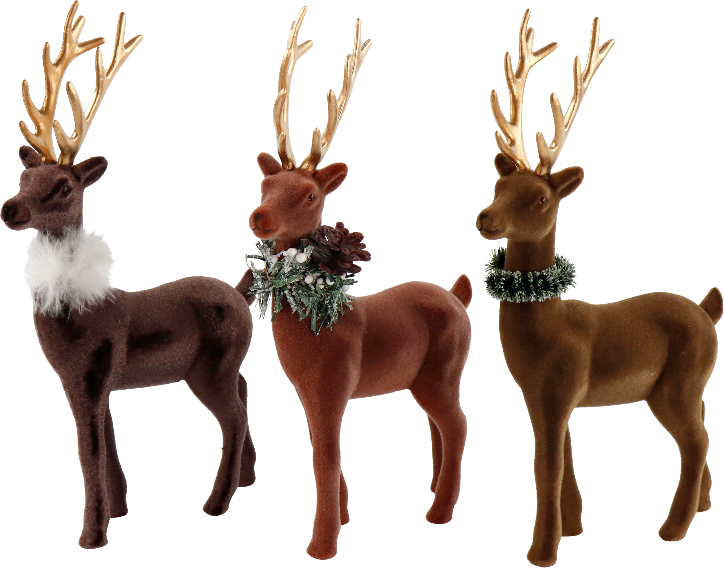 5742 HIRSCHE GINGER  S/3