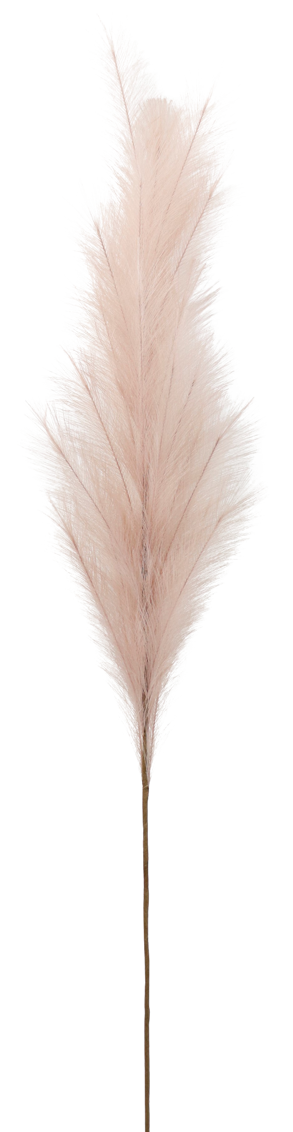 5913 ZIERFEDER LAVENDEL 170CM