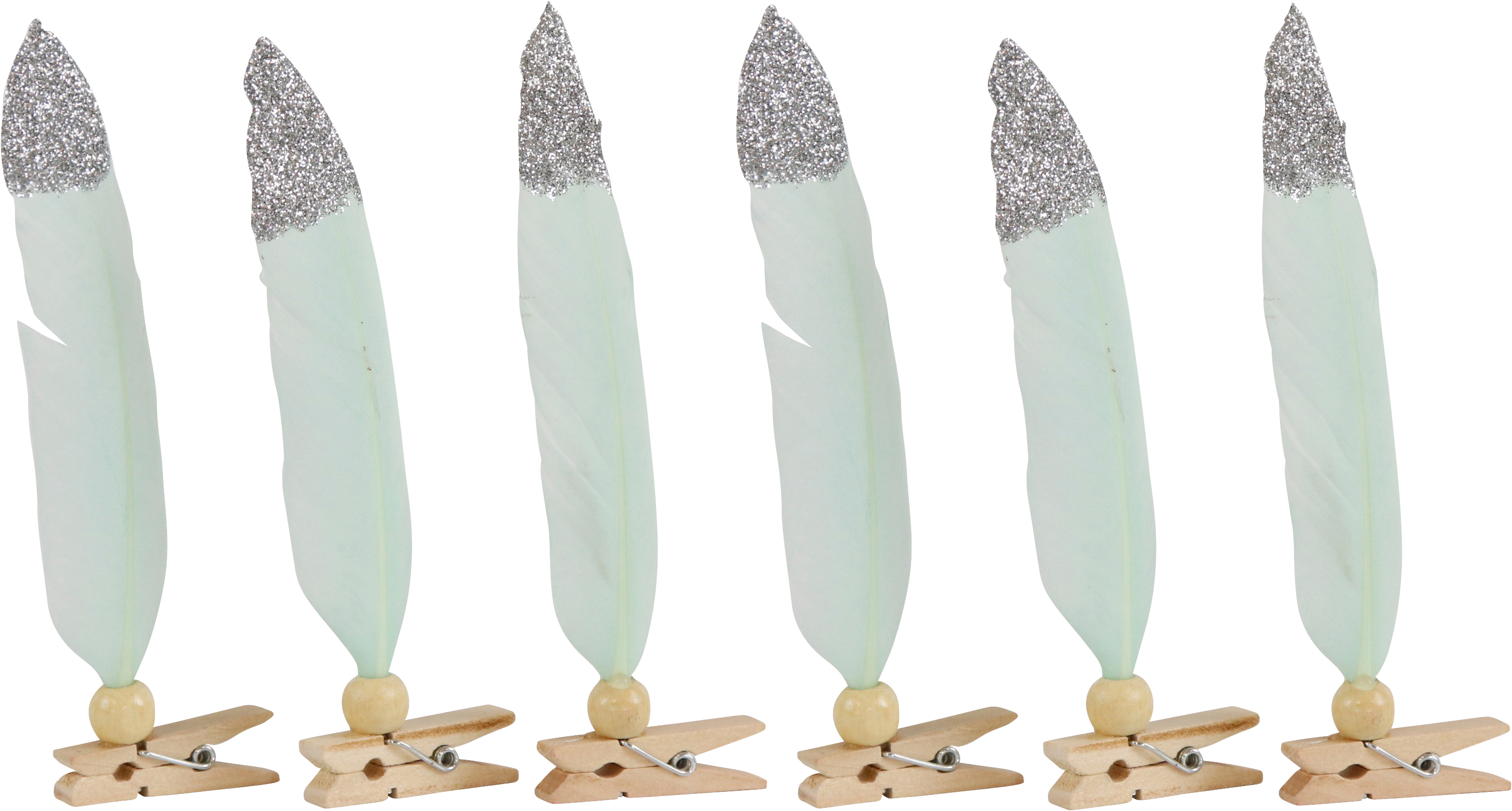 5967 PIUME CON MOLLETTA  MINT  6PZ