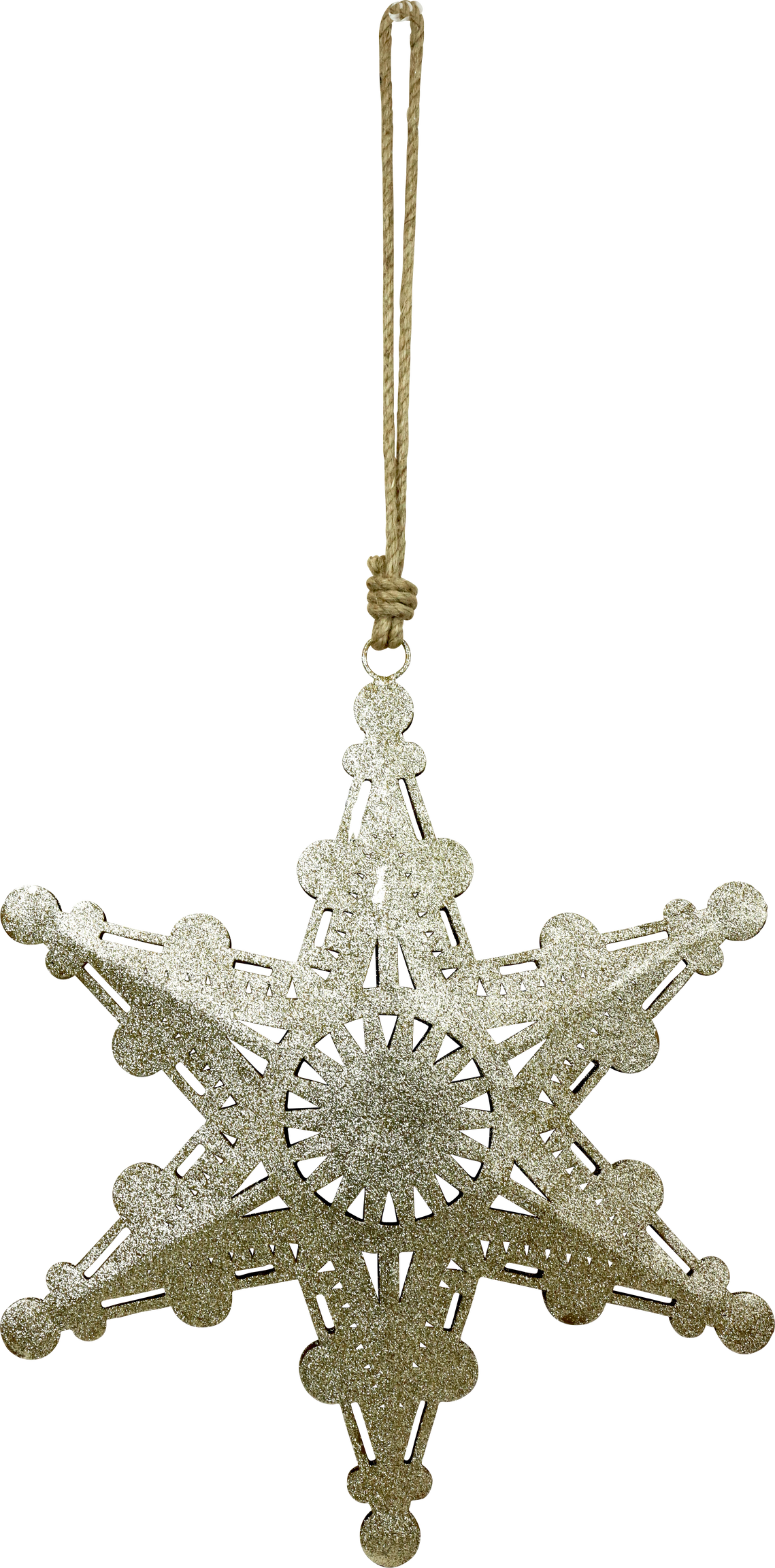 6013 STELLA STARDUST