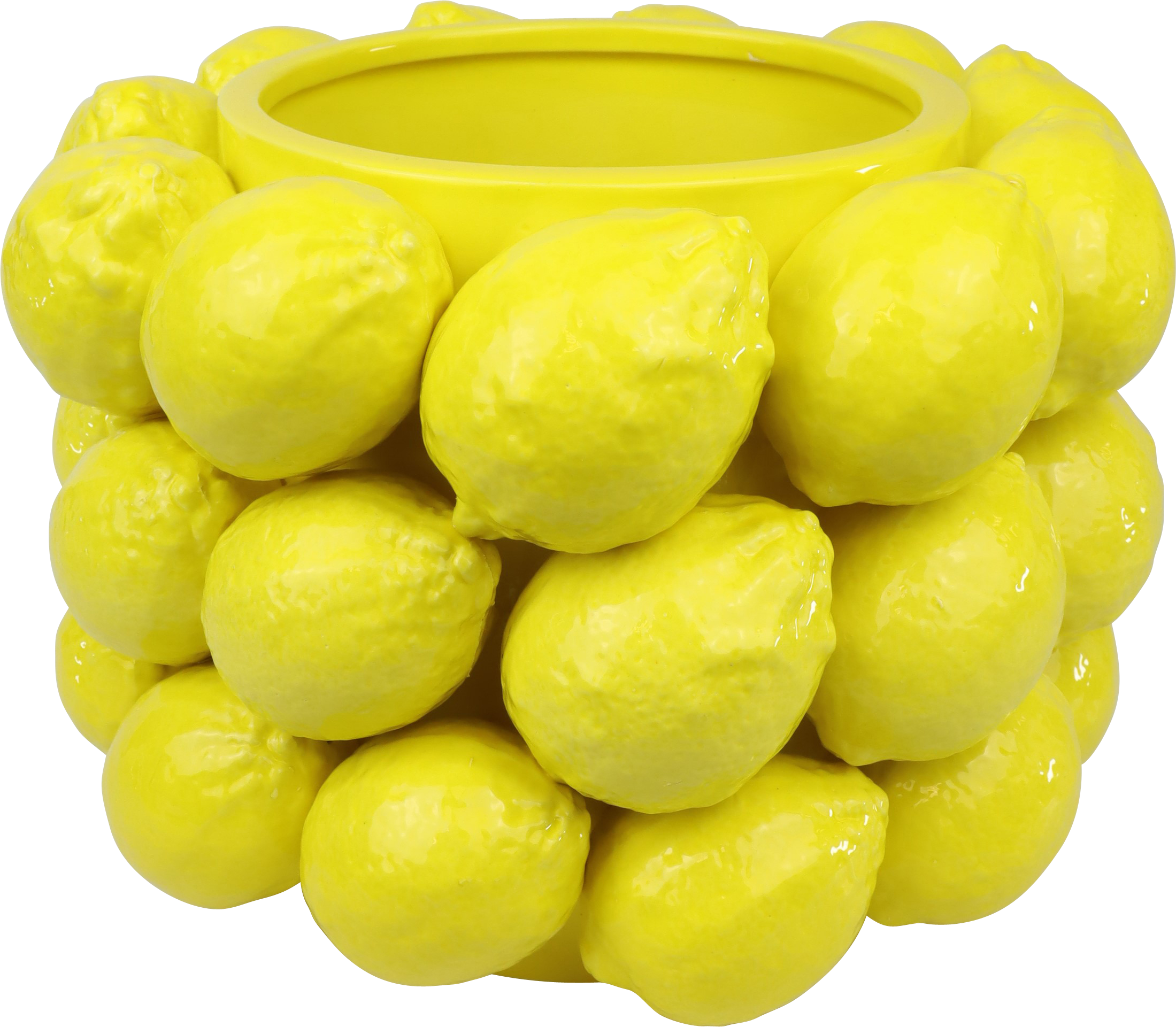 6340 FIORIERA LIMONE