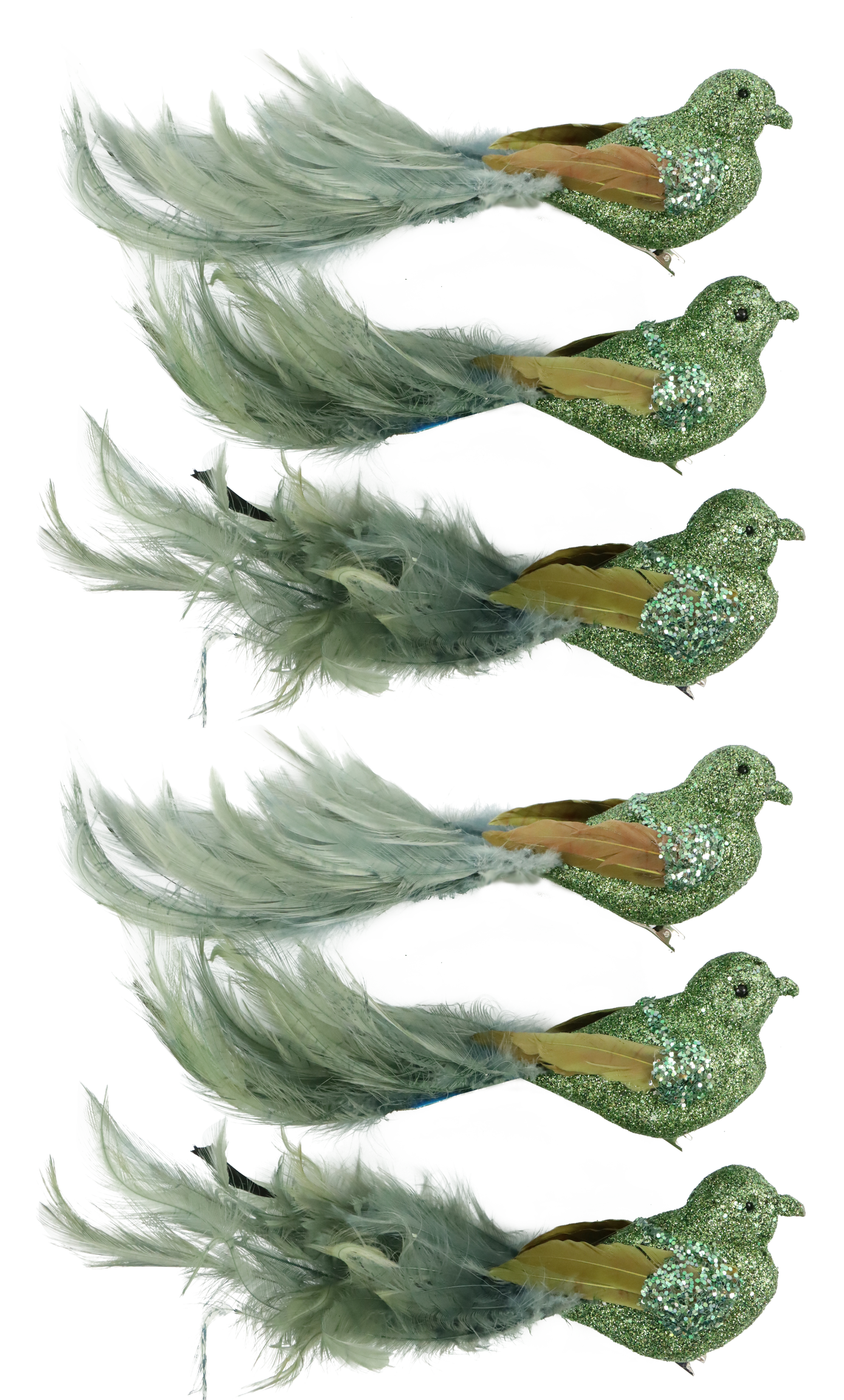 6665 VOGELKLAMMERN FEDERSTOLZ   S/6