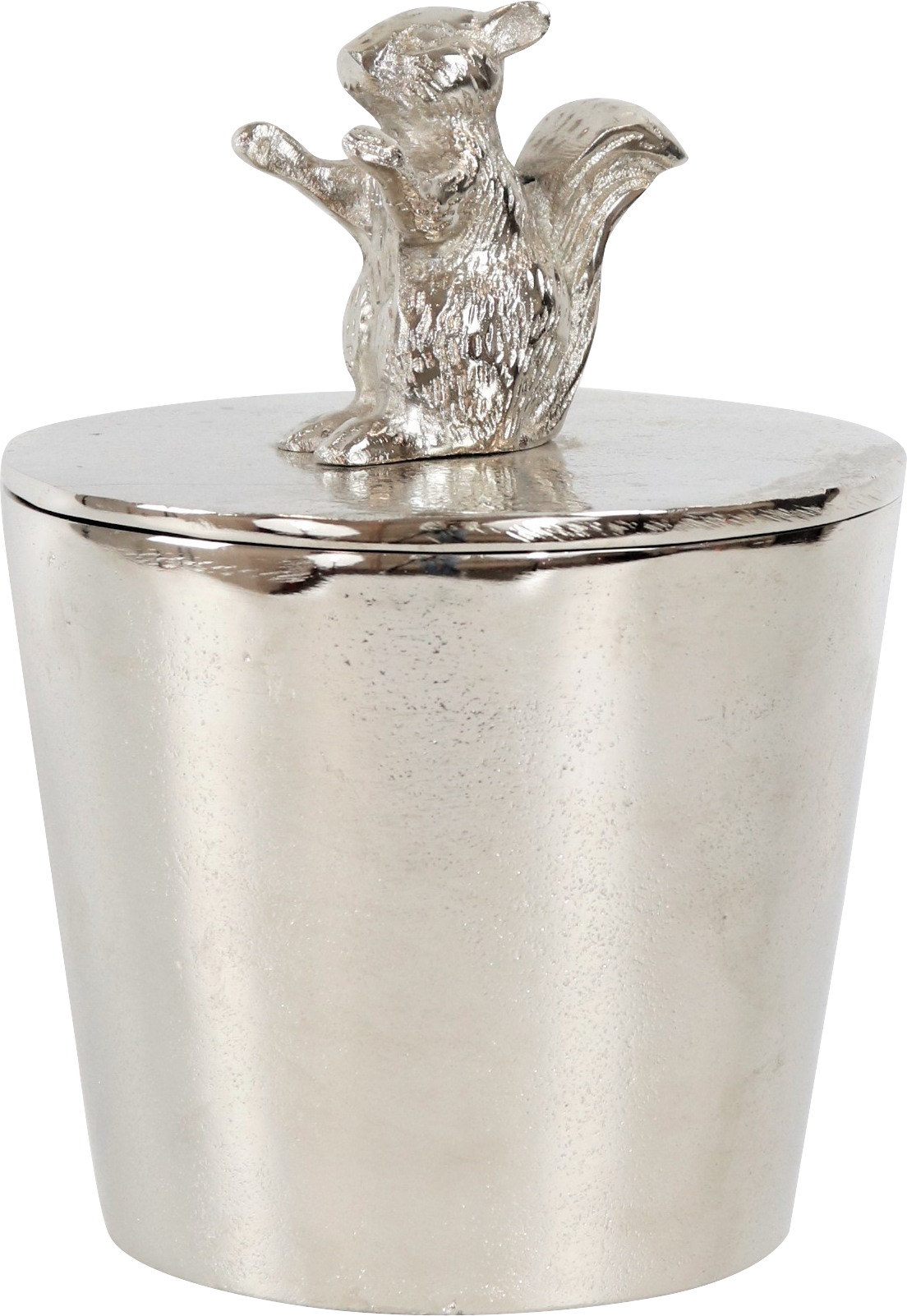 6720 CAJA  EICHHÖRNCHEN