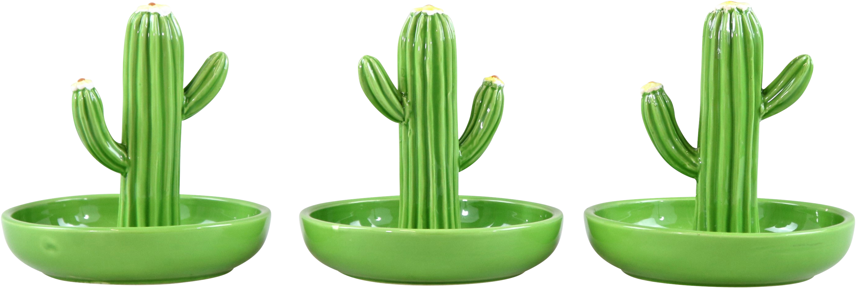 6752 CIOTOLE CACTUS  3PZ