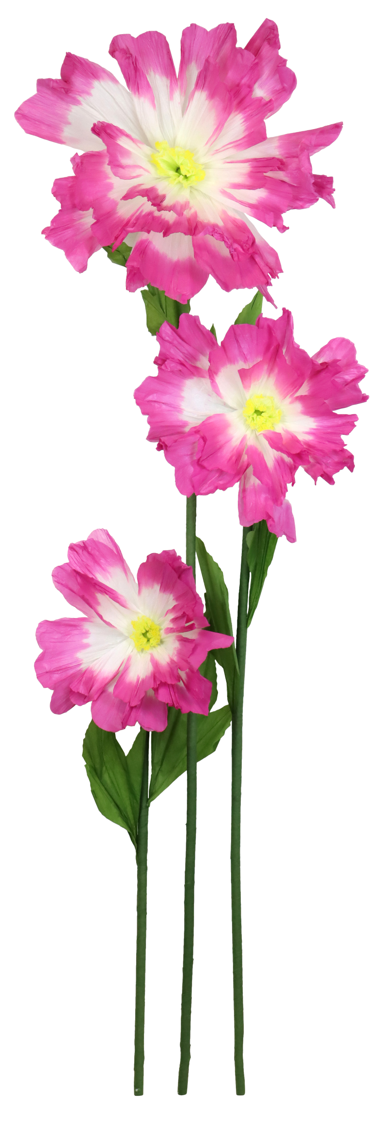 7953 RIESENBLUME FLEUR FANTASTIQUE  S/3