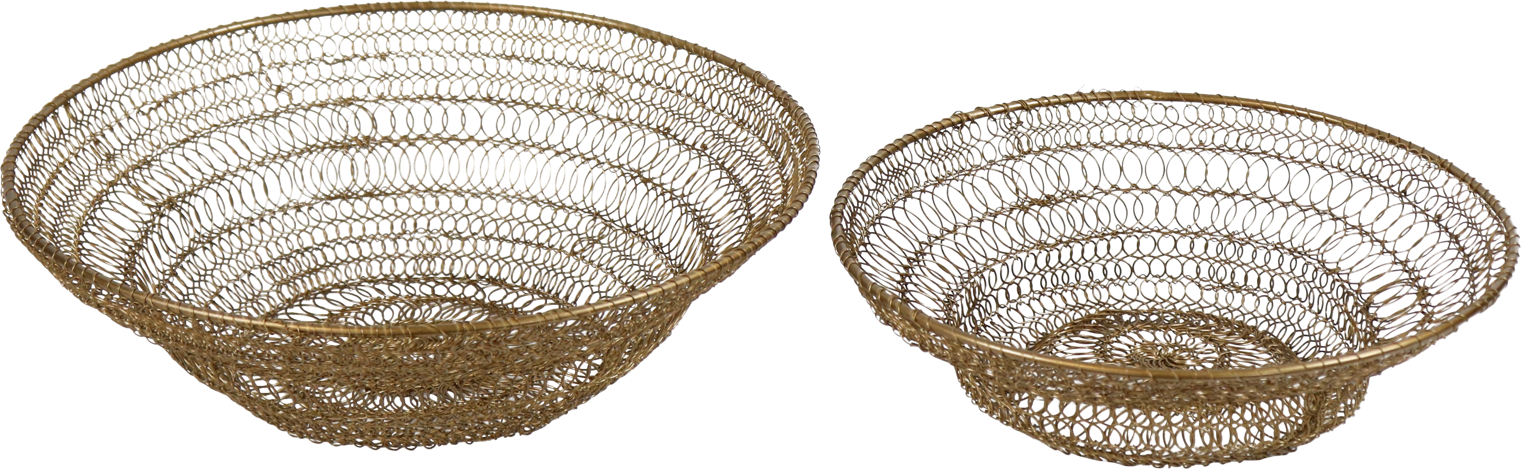 8098 CESTI  FILAMENT  2PZ