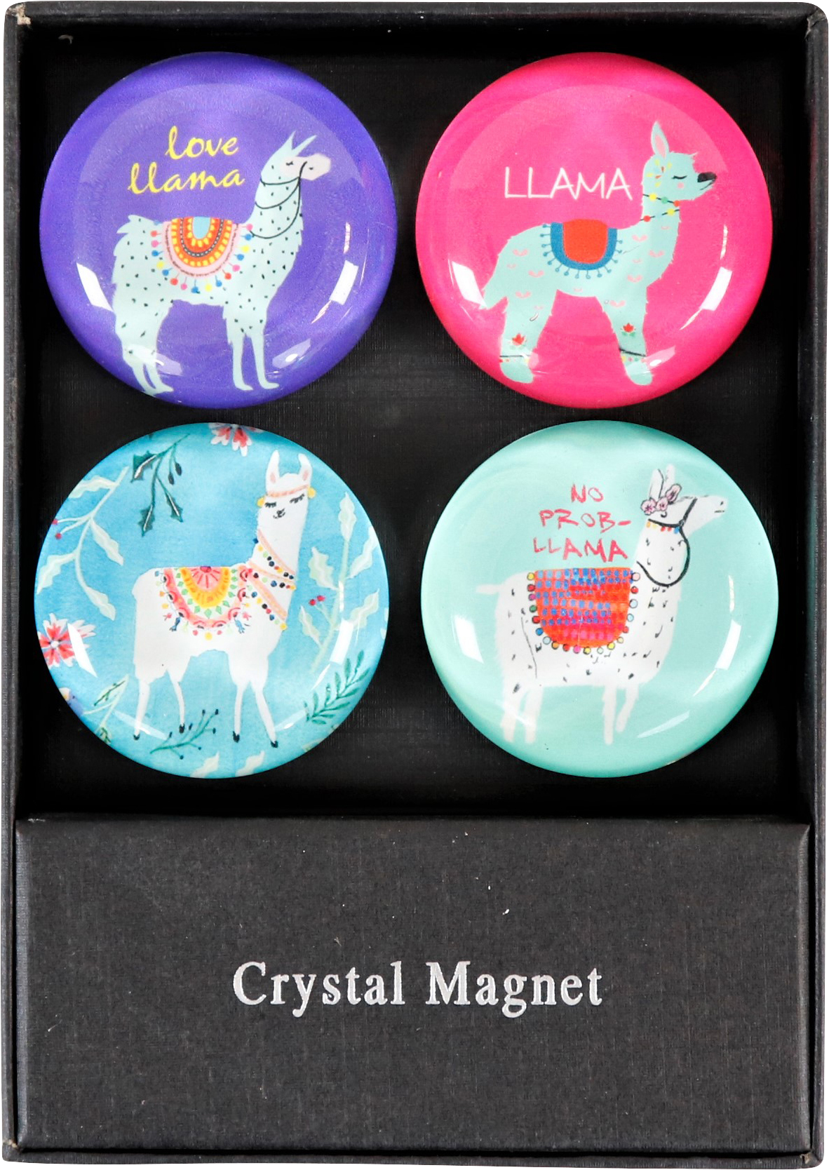 8428 GLASMAGNETE LAMA  S/4