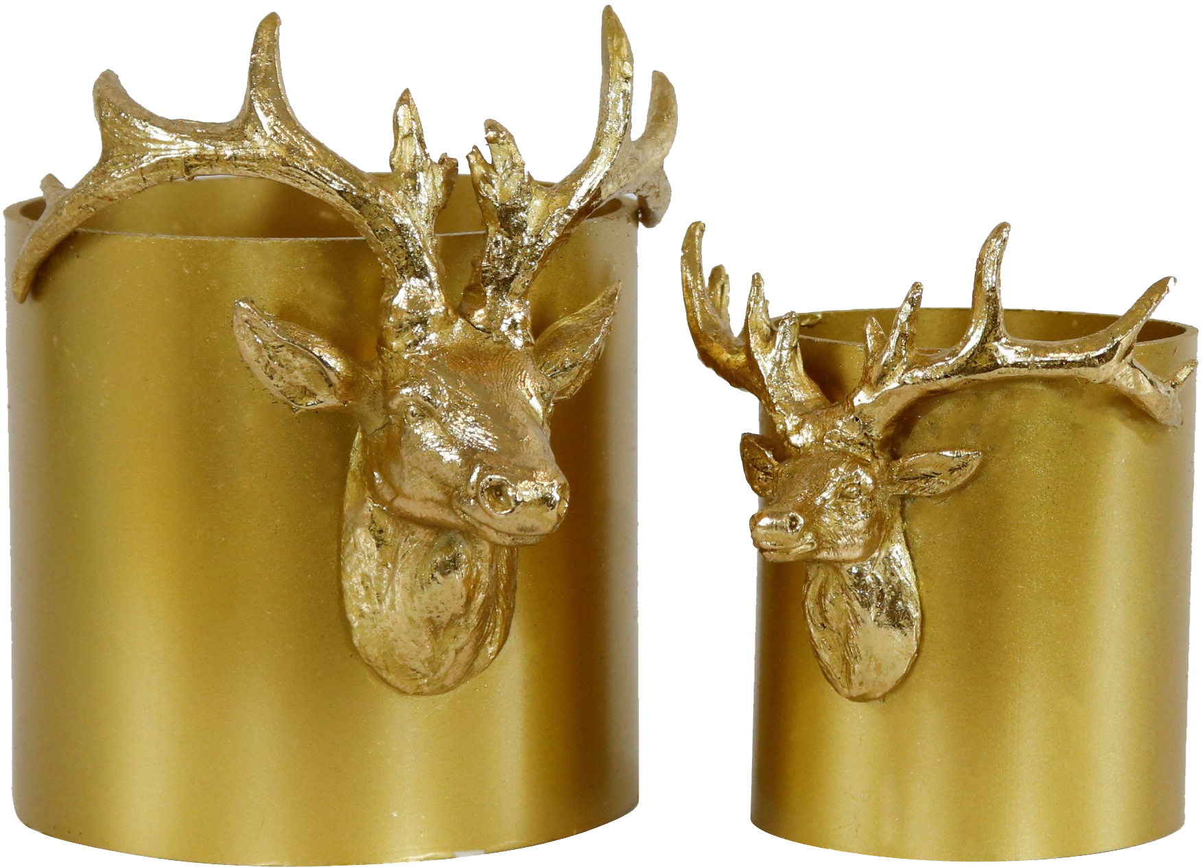 8559 PORTAVASO  HIRSCH  2PZ