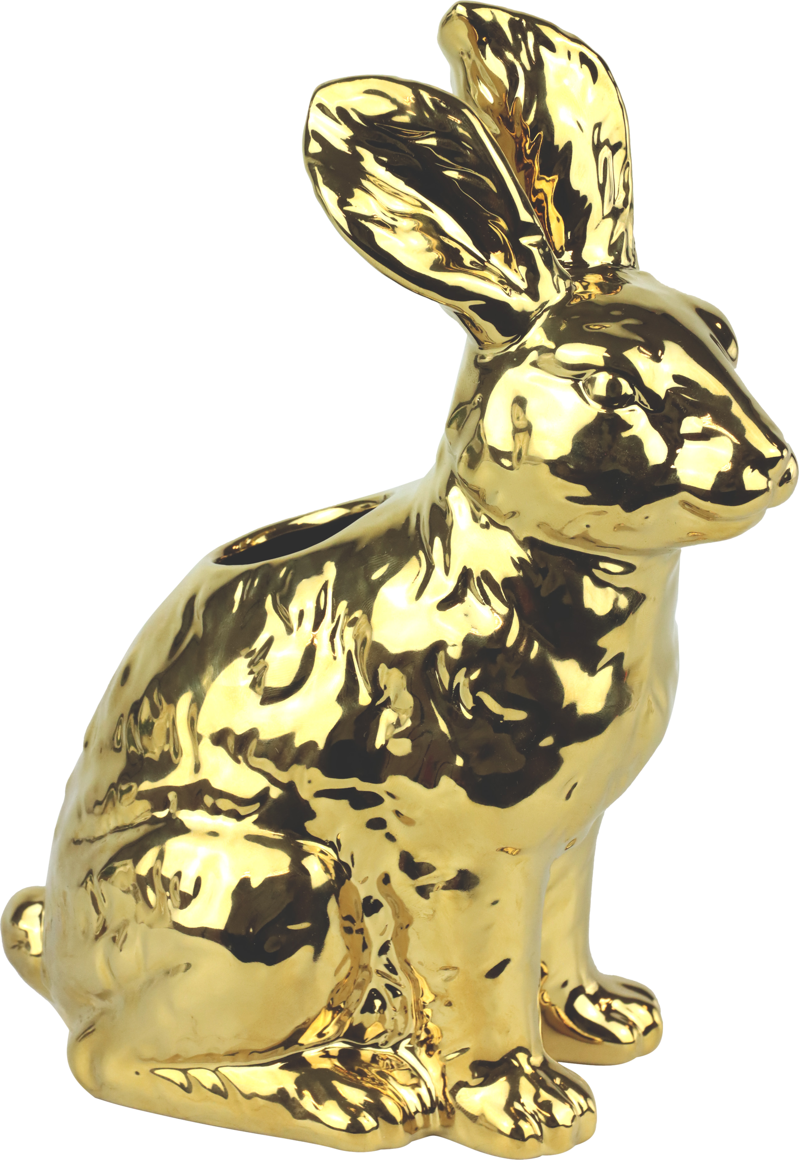 9095 VASI GOLDEN RABBIT