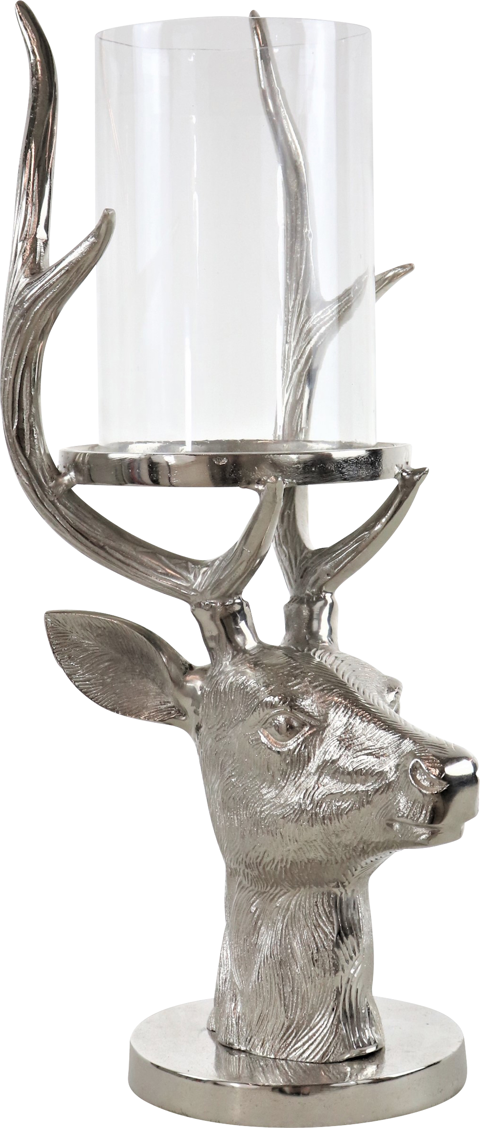 9975 PORTAVELA  HIRSCH